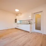 Rent 1 bedroom apartment of 33 m² in Capital City of Prague