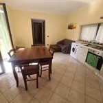 Rent 3 bedroom apartment of 60 m² in Roma