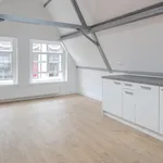 Huur 1 slaapkamer appartement van 45 m² in Leiden