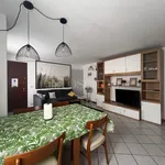 Rent 2 bedroom apartment of 55 m² in Como