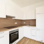 Rent 2 bedroom apartment of 53 m² in Linz