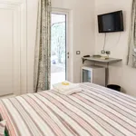 Rent 1 bedroom apartment in Florence