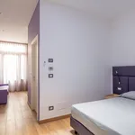 Rent 1 bedroom apartment in Bologna