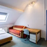 Louez une chambre de 250 m² à brussels