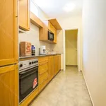 Rent 2 bedroom apartment of 132 m² in Budapest