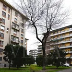 Rent 2 bedroom apartment of 42 m² in Milano