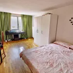 Rent 7 bedroom apartment in Valencia