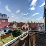 Rent 2 bedroom apartment of 53 m² in Brno