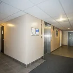 Rent 1 bedroom apartment in Windsor, ON