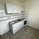 Rent 1 bedroom apartment in Chomutov