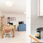 Rent 2 bedroom apartment of 85 m² in Wien