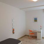 Rent a room of 200 m² in Trento