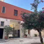 Rent 3 bedroom apartment of 85 m² in Bari