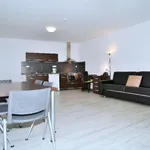 Rent 3 bedroom apartment of 141 m² in Brno