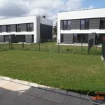 Rent 4 bedroom house of 140 m² in Poznań