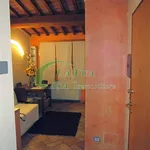 Rent 2 bedroom apartment of 49 m² in Montelupo Fiorentino