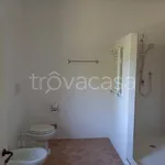 Rent 4 bedroom apartment of 80 m² in Castelfiorentino