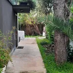 Rent 3 bedroom apartment of 70 m² in Palermo