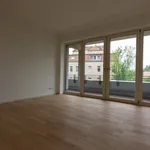 Rent 4 bedroom apartment of 113 m² in Leipzig