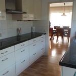 Rent 1 bedroom house of 15 m² in Dorp Noord