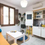 Rent 1 bedroom apartment in granada