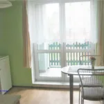 Rent 1 bedroom apartment in Postřelmov