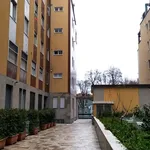 Rent 1 bedroom apartment of 37 m² in Milano