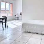 Rent 1 bedroom apartment in Bologna