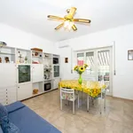 Rent 3 bedroom apartment of 90 m² in Anzio