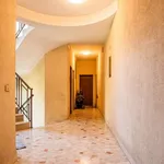 Rent 1 bedroom apartment of 65 m² in milan