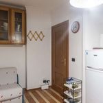 Rent 1 bedroom apartment of 65 m² in Roma