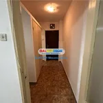 Rent 2 bedroom apartment of 39 m² in Ploiești