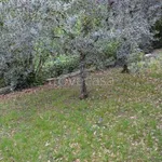 Rent 2 bedroom apartment of 55 m² in Torri del Benaco