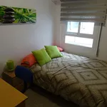 Rent a room in Valencia']