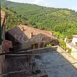 Rent 3 bedroom apartment of 50 m² in Magliano in Toscana