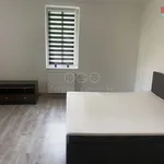 Rent 2 bedroom apartment of 50 m² in Dubí