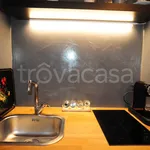 Rent 1 bedroom apartment of 50 m² in Torino