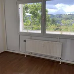 Miete 3 Schlafzimmer wohnung von 79 m² in Siegen