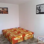 Rent 3 bedroom apartment of 30 m² in Prague