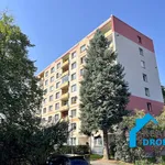 Rent 1 bedroom apartment in Děčín