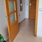 Alquilo 2 dormitorio apartamento de 78 m² en alicante