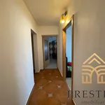 Rent 3 bedroom apartment of 90 m² in Oradea