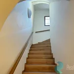 Rent 1 bedroom apartment of 43 m² in České Budějovice