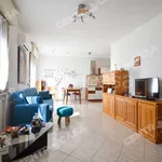 Rent 2 bedroom apartment of 77 m² in Legnago