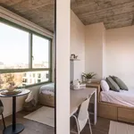 Rent 1 bedroom apartment in barcelona