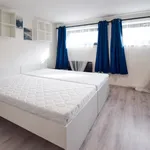 Rent 1 bedroom apartment in Brno