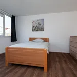 Rent 3 bedroom apartment of 73 m² in Rotterdam