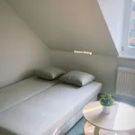 Rent 1 bedroom apartment of 18 m² in Freiburg im Breisgau