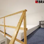 Rent 1 bedroom apartment of 20 m² in Brno