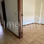 Rent 3 bedroom apartment of 90 m² in Porto